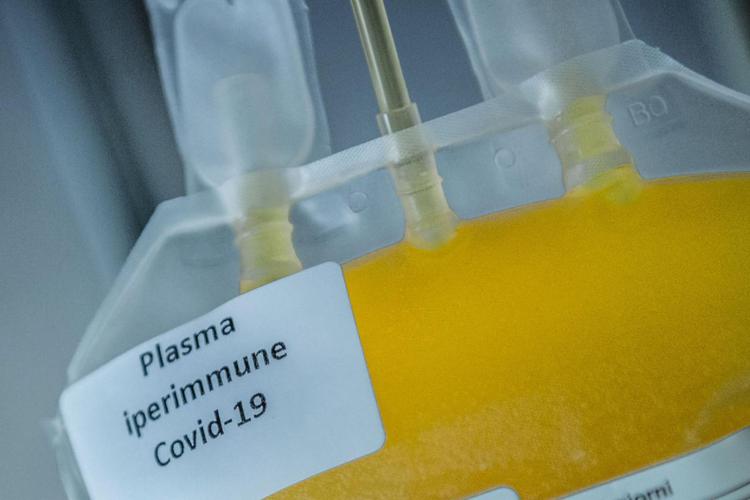 Coronavirus, studio italiano su plasma guariti, promettente in casi gravi