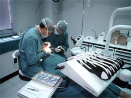 Proposta dentisti, valenza specialistica per laurea in Odontoiatria
