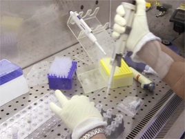 Studio italiano, editing genoma verso test su uomo per malattia rara