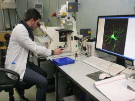 Maxi-studio, identificati 400 geni associati alla schizofrenia