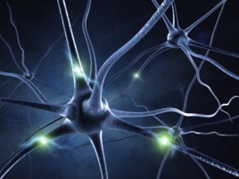 Legami fra neuroni, studio Iit apre a nuova intelligenza artificiale